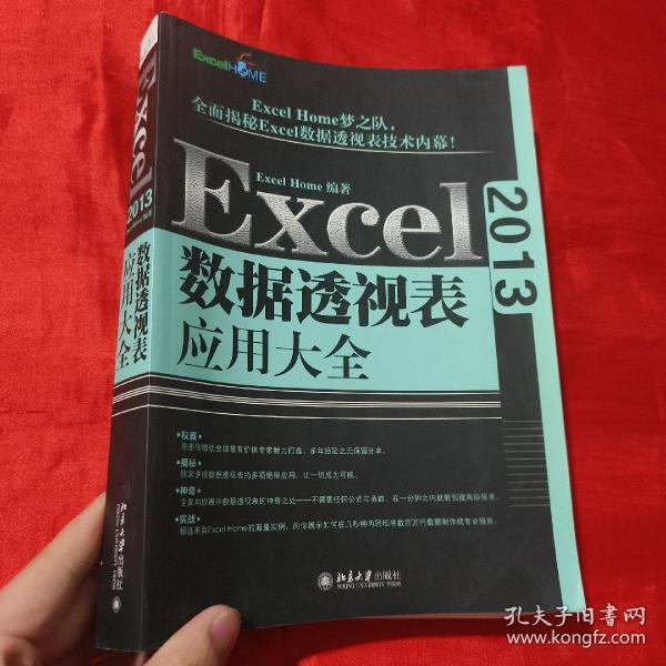 Excel 2013数据透视表应用大全