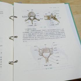 新形态活页教材乐学解剖