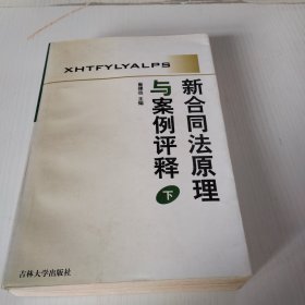 新合同法原理与案例评释一下册