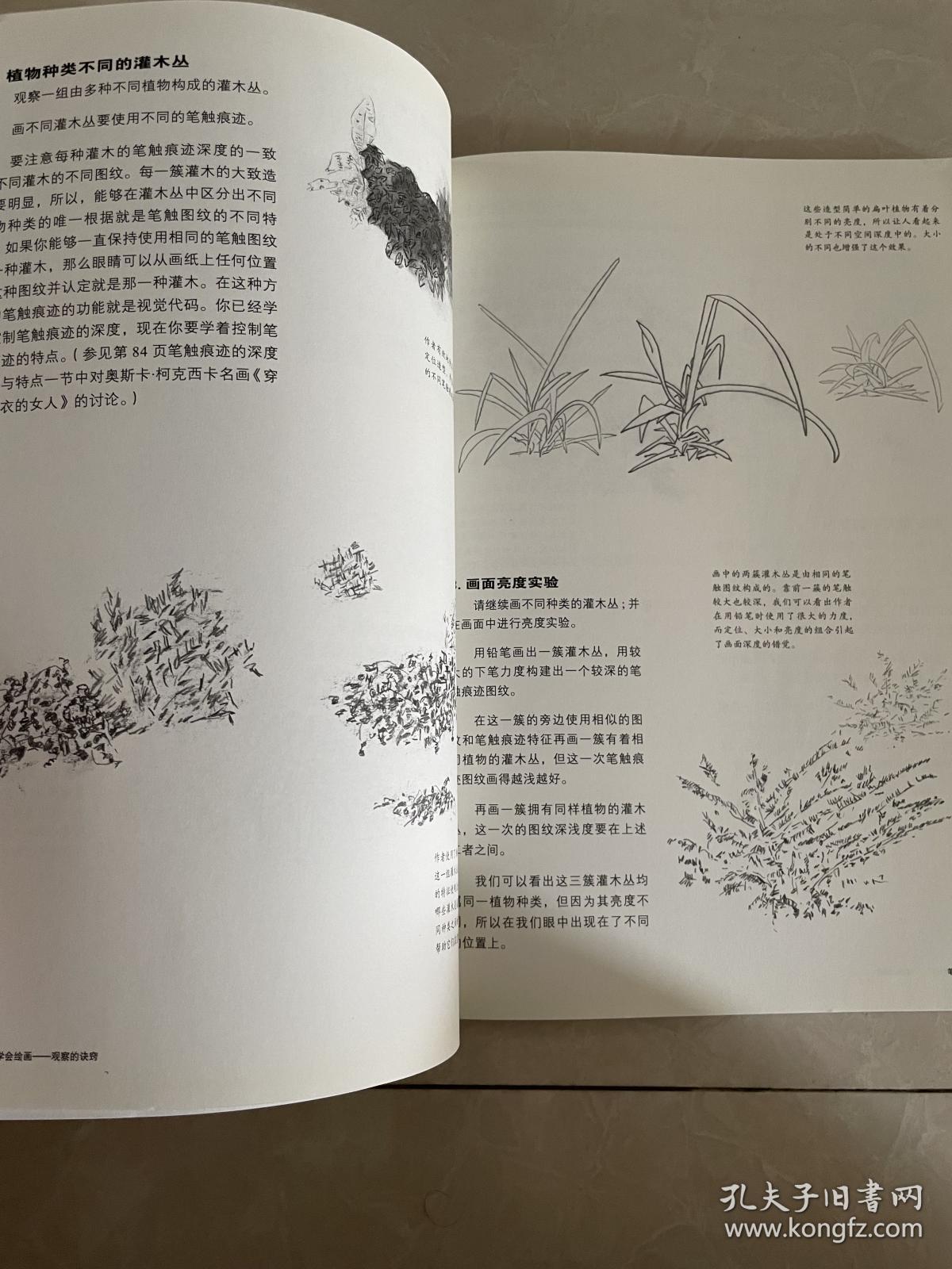 6堂课学会绘画：观察的诀窍