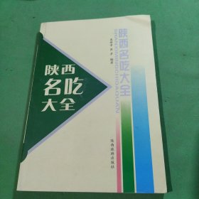 陕西民间艺术大全