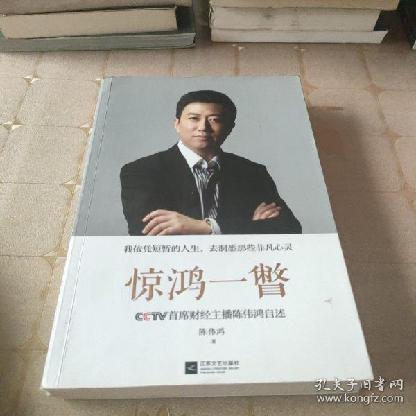 惊鸿一瞥：CCTV首席财经主播陈伟鸿自述