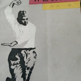 许世友传奇