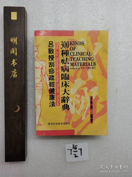 吕教授刮痧疏经健康法——300种祛病临床大辞典