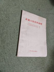 针灸穴位挂图说明