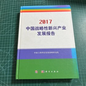 中国战略性新兴产业发展报告2017