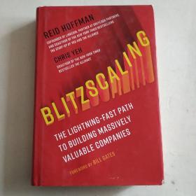 Blitz Scaling-The Lighting-Fast Path to Building Massive Valuable Businesses(目录见图)