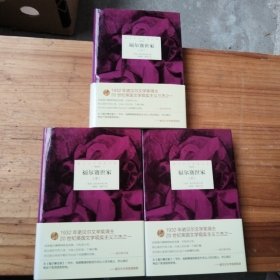 诺贝尔文学奖大系——福尔赛世家（全3册）
