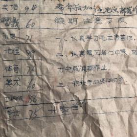 1973年 宁都县城头中小学 学生成绩单