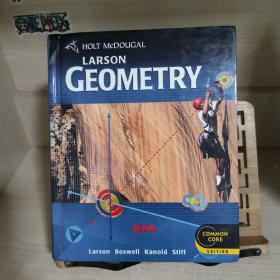 Geometry 霍尔特几何学 英文原版