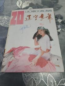 辽宁青年1993.20