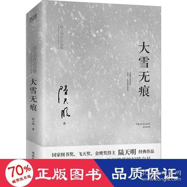 大雪无痕（飞天奖、金鹰奖得主陆天明经典作品，现象级电视剧《大雪无痕》原著小说）