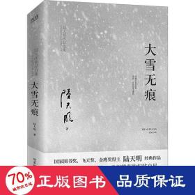 大雪无痕（飞天奖、金鹰奖得主陆天明经典作品，现象级电视剧《大雪无痕》原著小说）