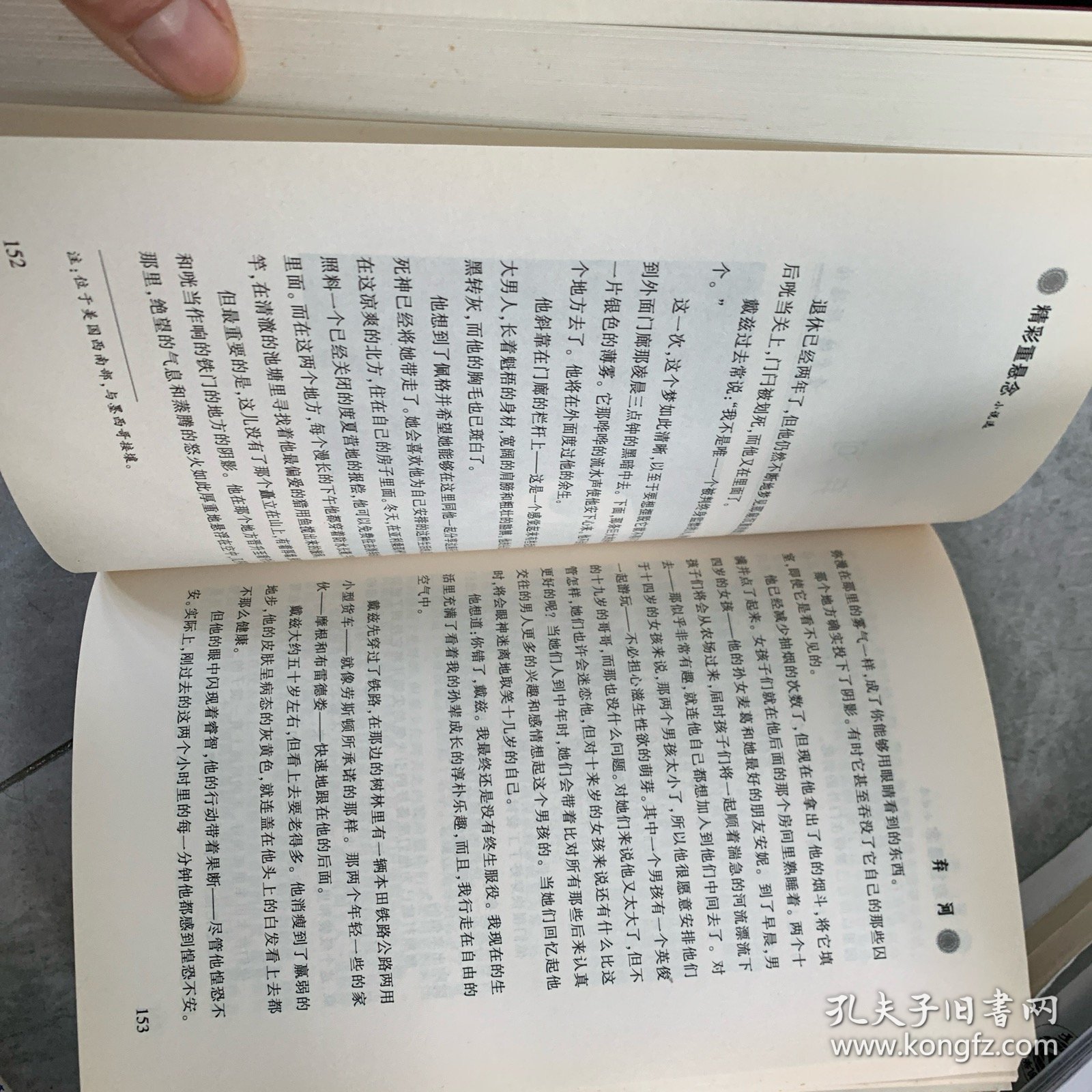 精彩重悬念小说选