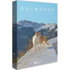 旅途中邂逅的猫咪