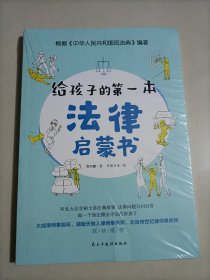 给孩子的第一本法律启蒙书（听北大法学硕士讲法制故事，孩子不可不知的法律常识。）