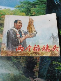 两个稻穗头