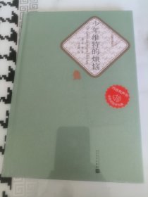 少年维特的烦恼