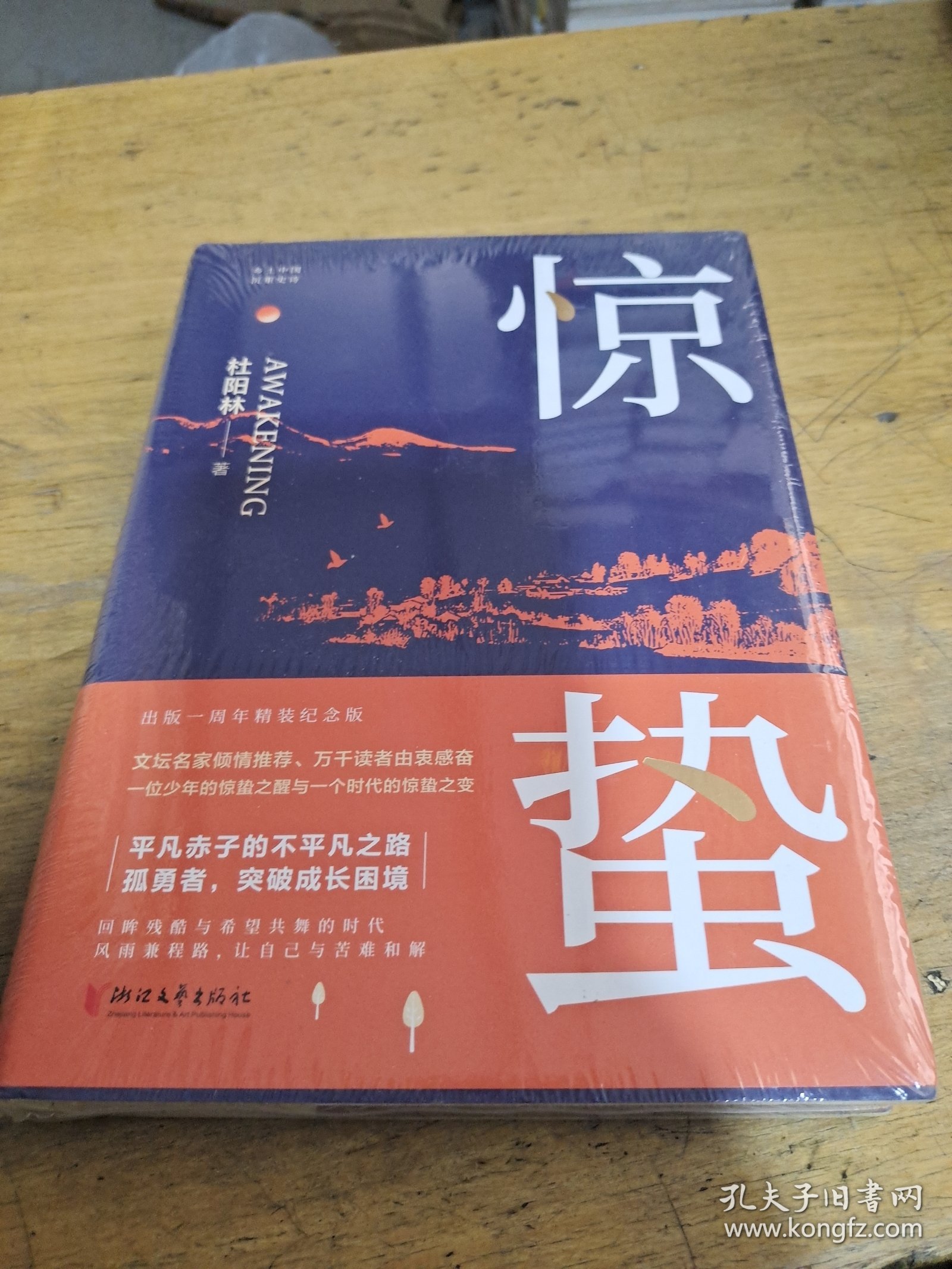 惊蛰：（出版一周年精装纪念版！文坛名家倾情推荐！平凡赤子的不平凡之路。孤勇者，突破成长困境！）