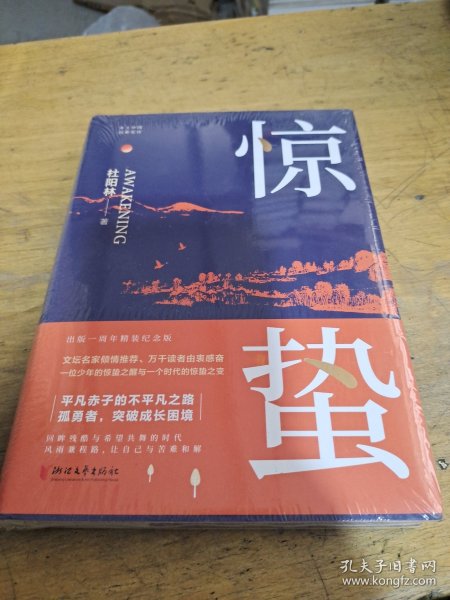 惊蛰：（出版一周年精装纪念版！文坛名家倾情推荐！平凡赤子的不平凡之路。孤勇者，突破成长困境！）