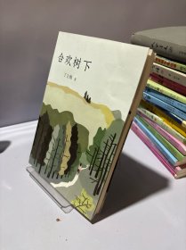 合欢树下