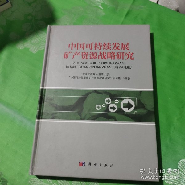 中国可持续发展矿产资源战略研究