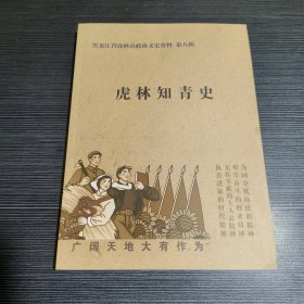 黑龙江虎林市政协文史资料 第八辑：虎林知青史