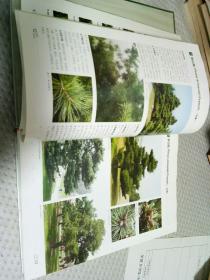 中国北方园林树木