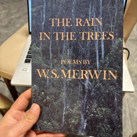 The Rain in the Trees