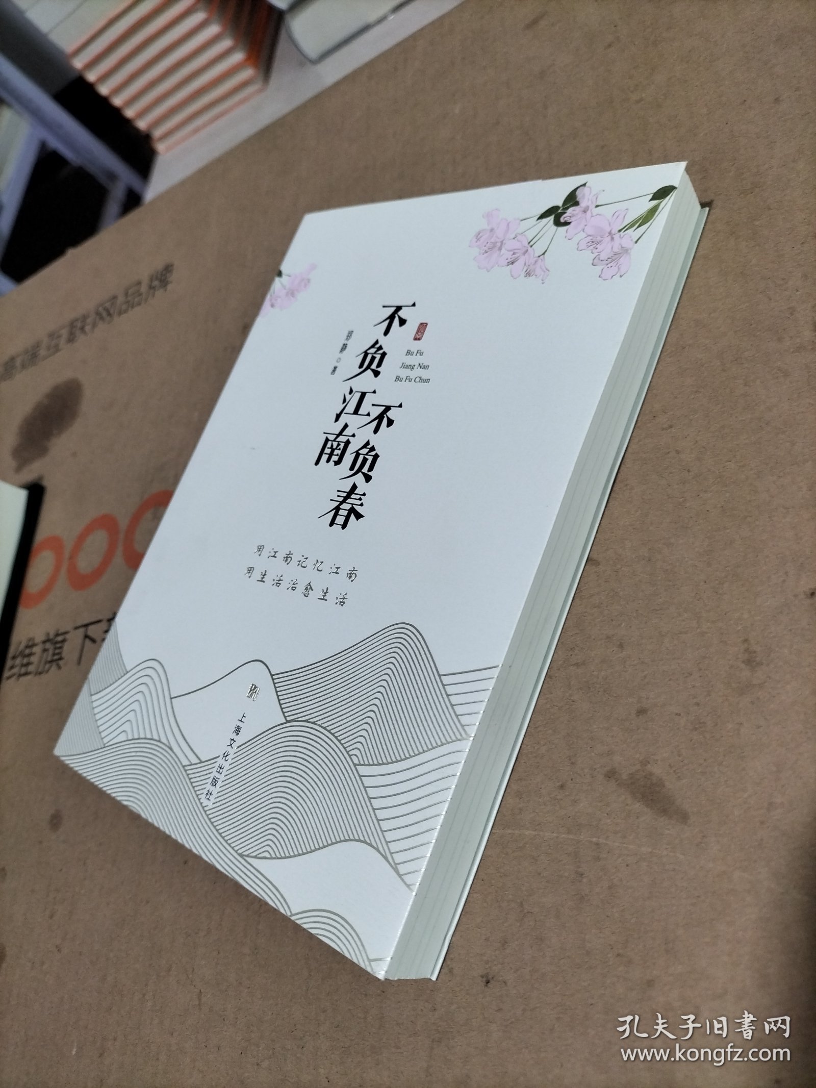 不负江南不负春