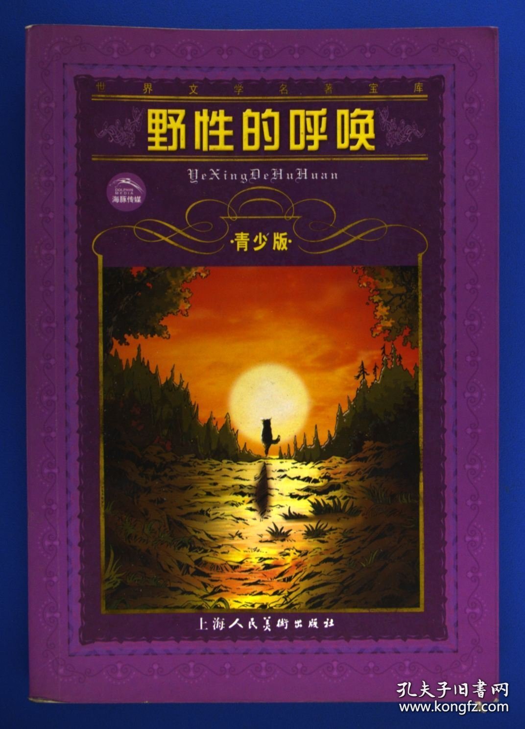 野性的呼唤青少版