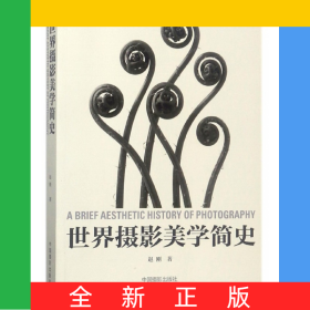 世界摄影美学简史
