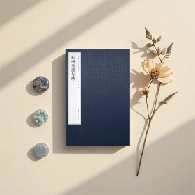 沂州普照寺碑（全二册）嘉树堂藏善本碑帖丛刊 蝴蝶装对折接页封面锦缎 仲汝尚楷书代表作原大原色精印毛笔书法临摹字帖收藏鉴赏