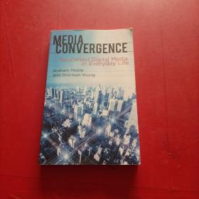 Media Convergence：Networked Digital Media in Everyday Life