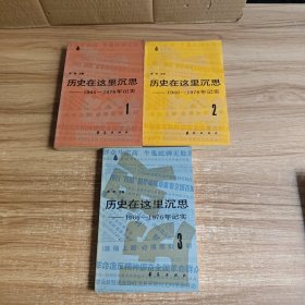 历史在这里沉思：1966-1976年记实（1，2 ，3）三本合售