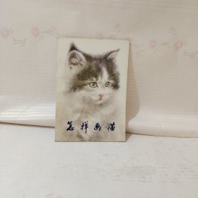 怎样画猫