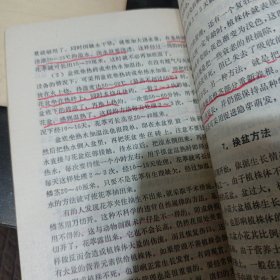 君子兰四季莳养 君子兰