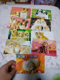 名猫名狗 明信片8张