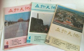 文物天地 1982年第3、4、6期
