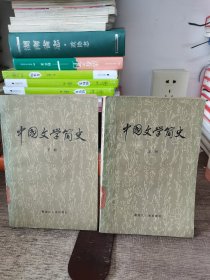中国文学简史 上下册