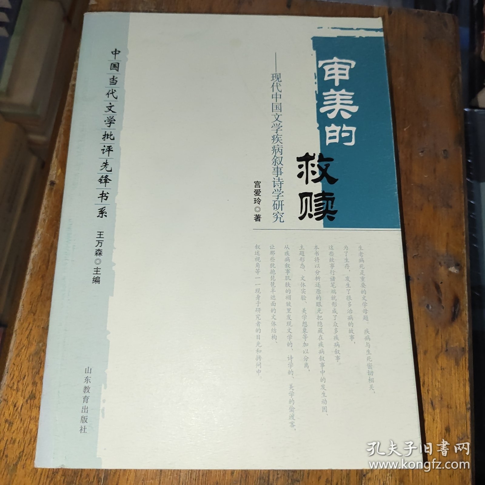 中国当代文学批评先锋书系·审美的救赎：现代中国文学疾病叙事诗学研究