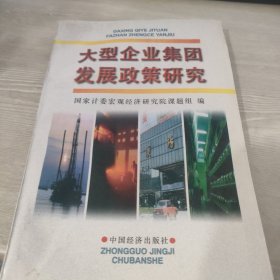 大型企业集团发展政策研究