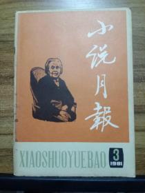 小说月报 1980年全年12期、1981年全年12期（24本合售）