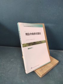 刑法中的事实错误（中国人民大学刑法学博士文丛4）