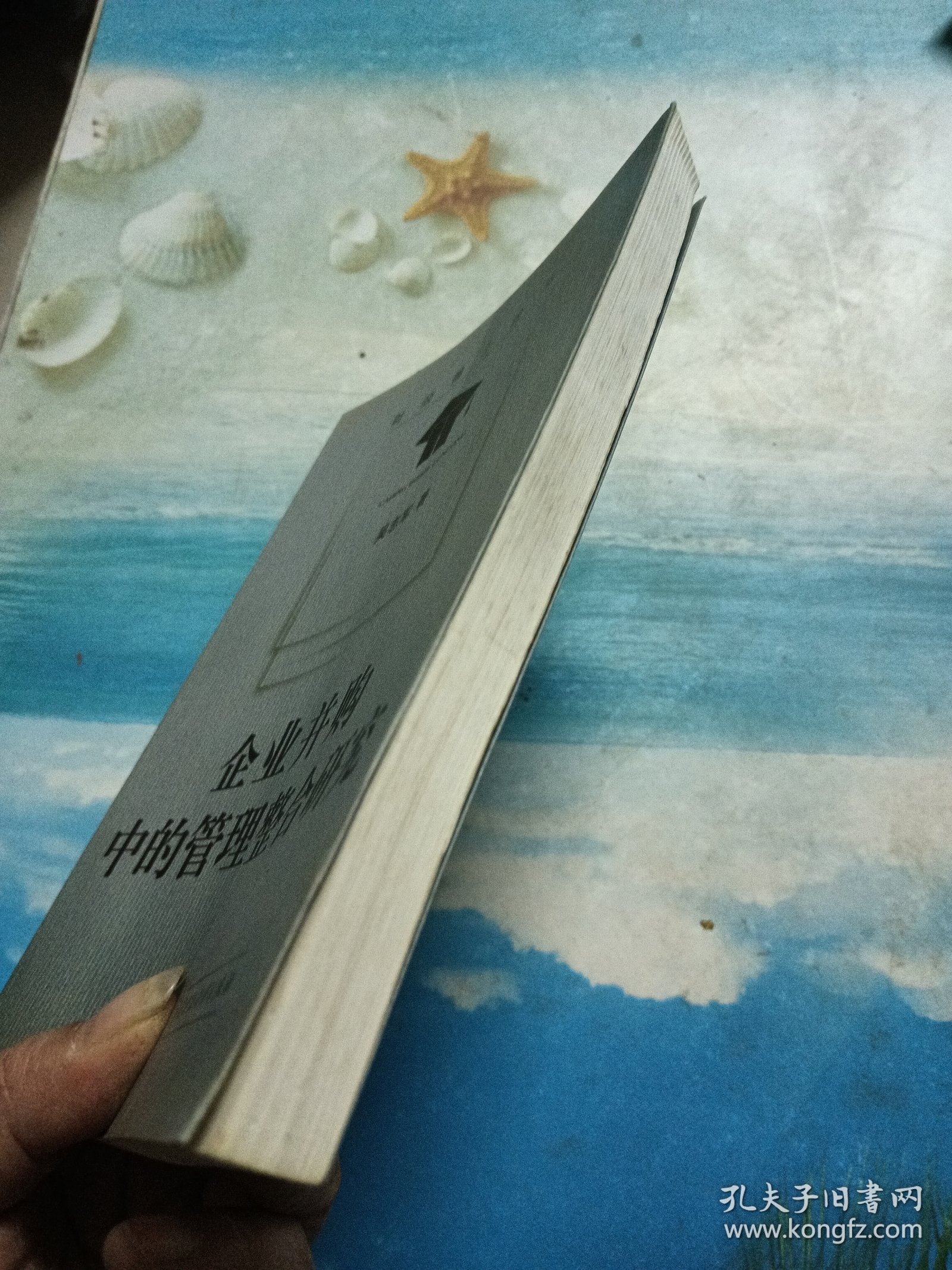 企业并购中的管理整合研究——财经博士论丛