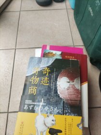 治愈系小说：奇迹寄物商