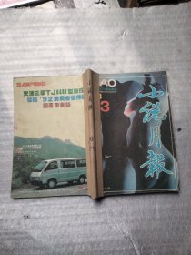 小说月报1993年3、4