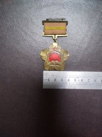 沈阳市中等学校教育工作者 奖章 1956年