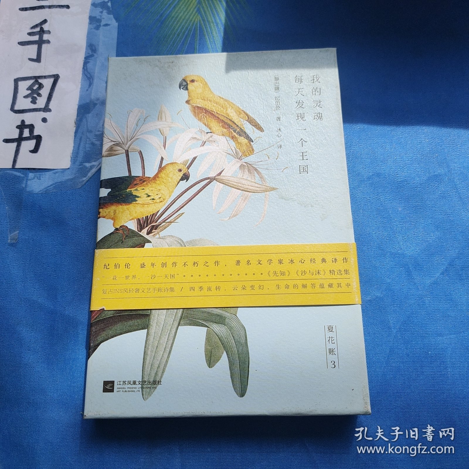 夏花账 3 我的灵魂每天发现一个王国