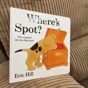 WHERE IS SPOT